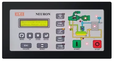 ELGI NEURON
